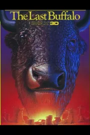 Last Buffalo, The