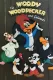 Woody Woodpecker Show, The