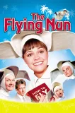 Flying Nun, The