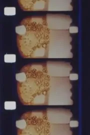 Analytical Studies II: Un-Frame-Lines