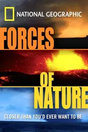 Natural Disasters: Forces of Nature