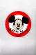 Mickey Mouse Club, The