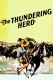 Thundering Herd, The