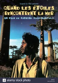 Quand les étoiles rencontrent la mer