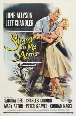 Stranger in My Arms, A