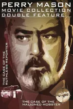 Perry Mason: Případ očerněného mafiána