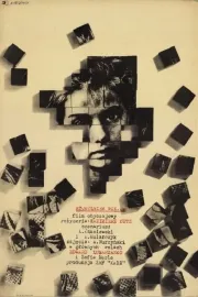 Kdo by cokoliv věděl...