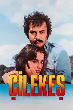 Çilekes