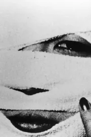 Yuki ga rokku o suteta natsu