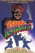 3 Little Ninjas and the Lost Treasure