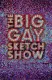 The Big Gay Sketch Show