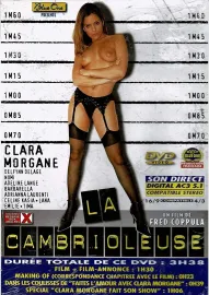 La cambrioleuse