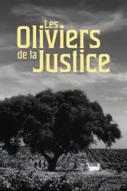 Les oliviers de la justice
