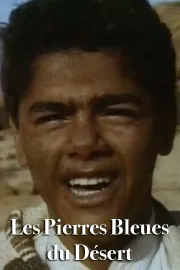 Les pierres bleues du désert