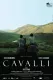 Cavalli