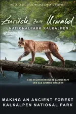 Jak se dělá prales