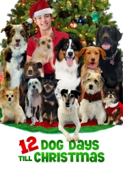 12 Dog Days of Christmas