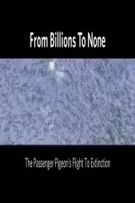 From Billions to None: The Passenger Pigeon's Flight to Extinction