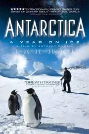 Antarktida: Rok na ledu