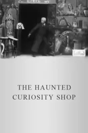 Haunted Curiosity Shop, The