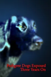 Pedigree Dogs Exposed - Three Years On