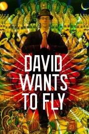 David wants to fly