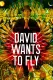 David wants to fly