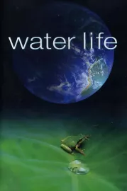 Mundos de agua