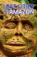 Ztracená města v Amazonii