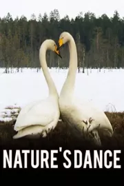 Tanec přírody