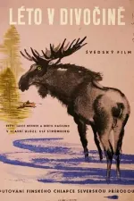 Léto v divočně