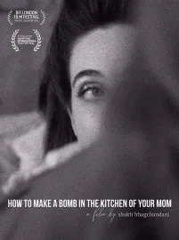 How to Make a Bomb in the Kitchen of your Mom