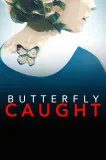 Butterfly Caught