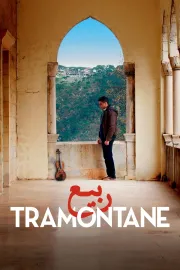 Tramontane