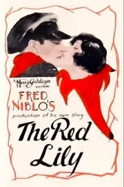 Red Lily, The