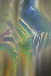 I'll Remember You As You Were, Not As What You'll Become