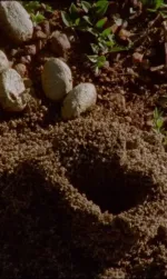 Y Berá: Aguas de Luz