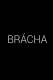 Brácha