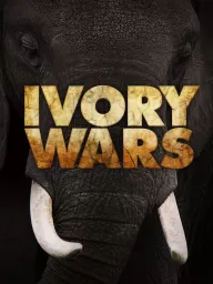 Boj o slonovinu