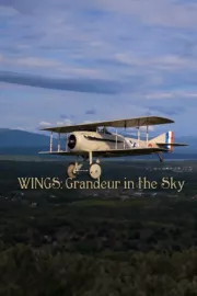 Wings: Grandeur in the Sky