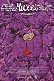 Muxes: Auténticas, intrépidas y buscadoras de peligro