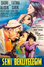 Seni bekleyecegim