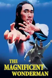 Magnificent Wonderman