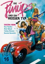 Pinups und ein heißer Typ