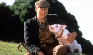 James Cromwell z filmu Babe: galantní prasátko zachránil malého čuníka před smrtí