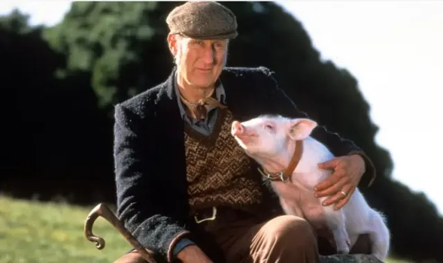 James Cromwell z filmu Babe: galantní prasátko zachránil malého čuníka před smrtí