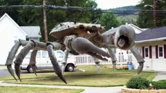 Krabí královna: trailer