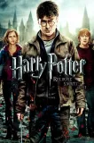 Harry Potter a Relikvie smrti - část 2