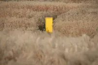 Yellow Door: Devadesátkový filmový klub: trailer