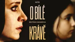 Balada o bílé krávě: trailer